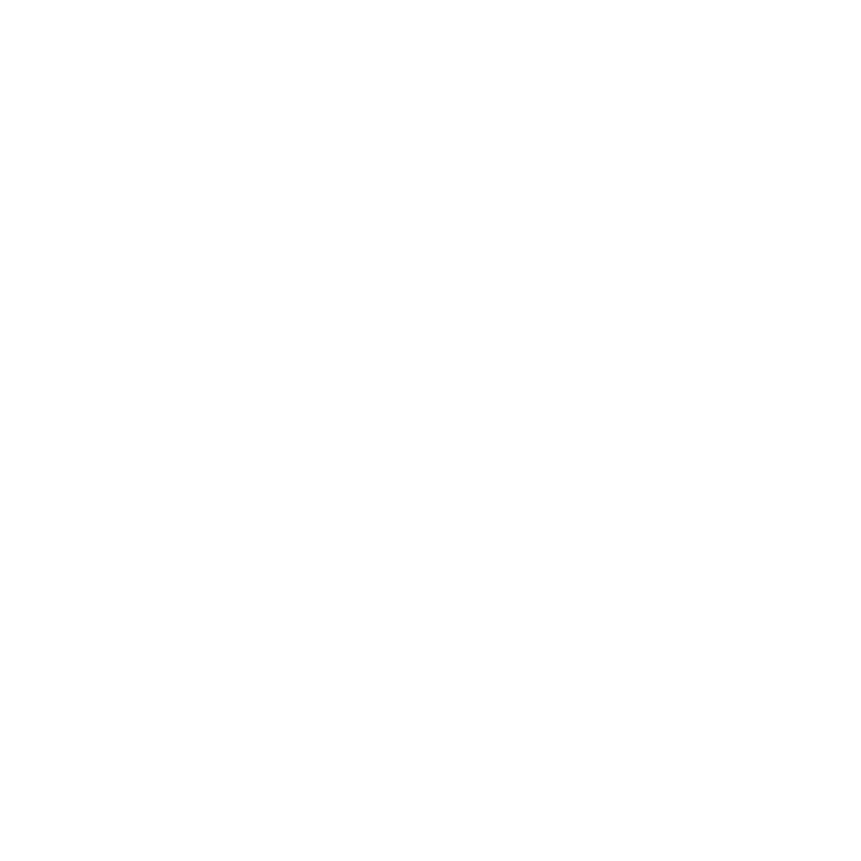 C12 Logo